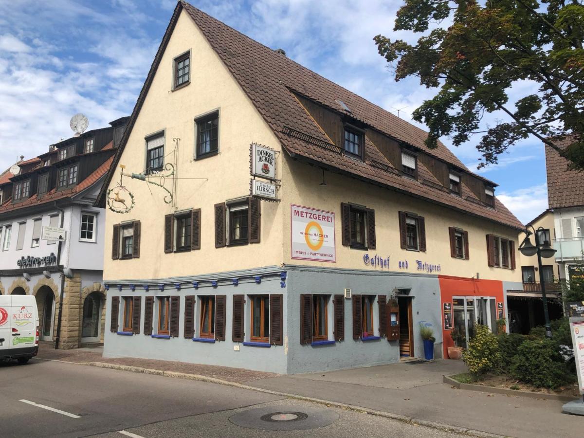 Gasthof Zum Hirsch ザクセンハイム エクステリア 写真
